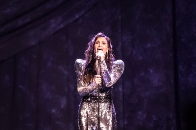 Cover image for Idina Menzel