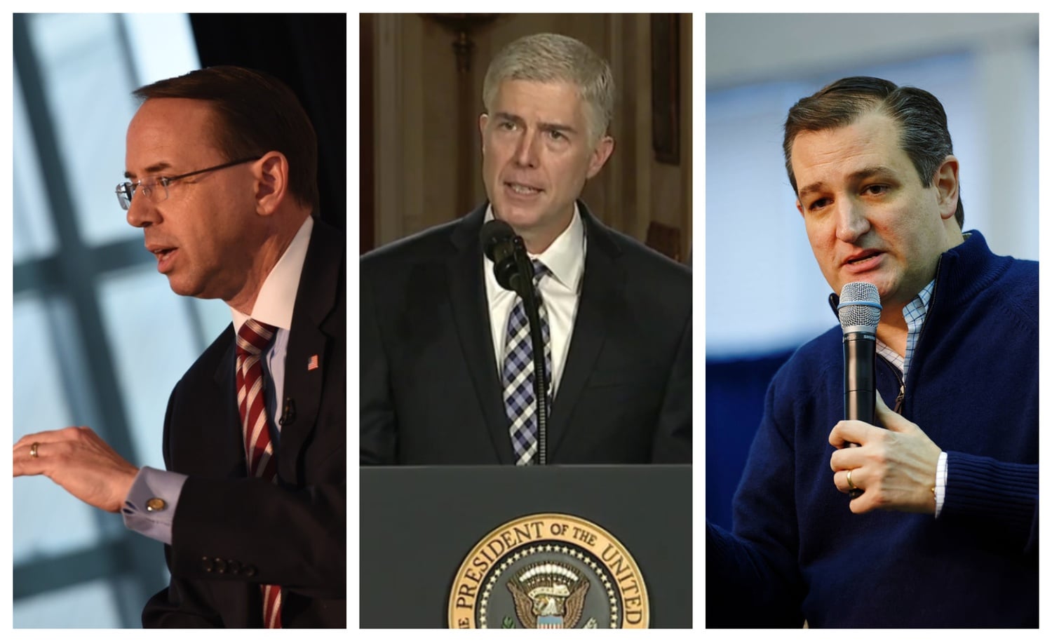 United States Deputy Attorney General Rod Rosenstein, Supreme Court Justice Neil M. Gorsuch, and United States Senator Ted Cruz all passed through the ranks of the Harvard Federalist Society.