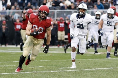 Cover image for NOTEBOOK: The Game Sees Sod, Stewart, and Kickers, but No Birds