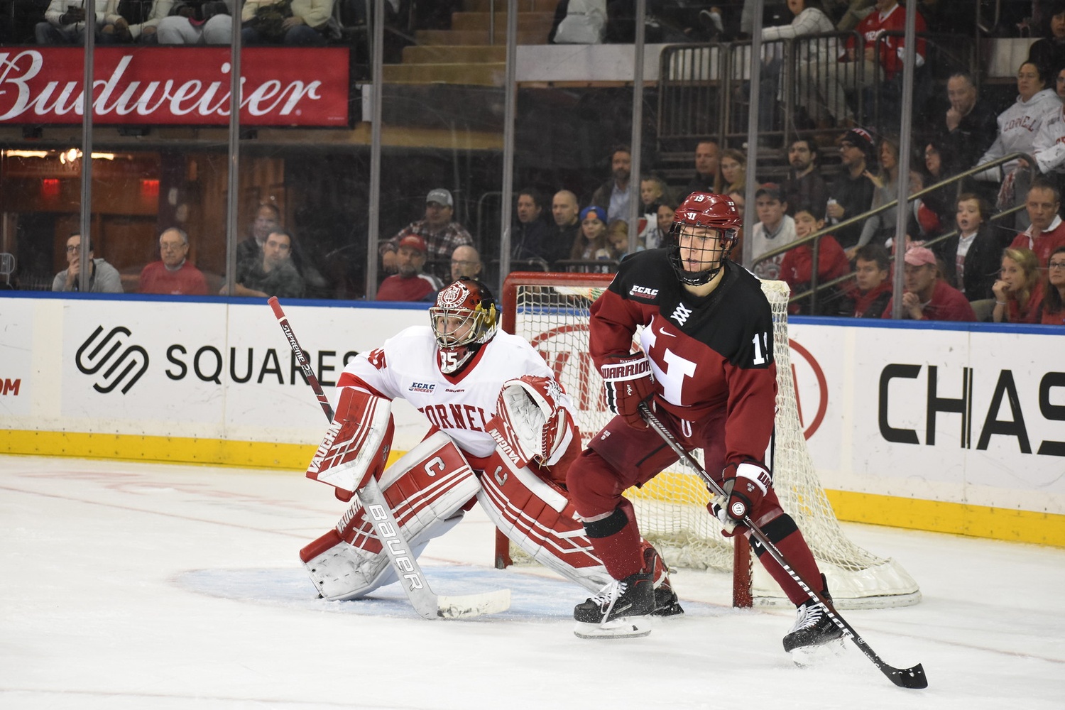 Sophomore Matthew Galajda has emerged as one of the premier backstops in the ECAC. On Saturday, he faced formidable competition across the ice in Michael Lackey.