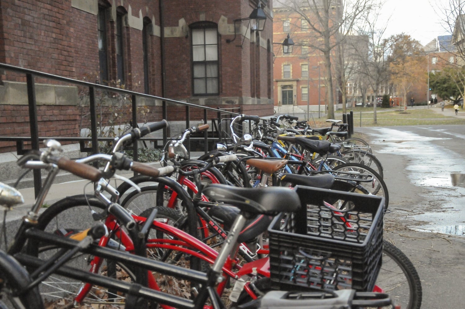 Student bikes saturate the bike racks outside of Weld in the middle of winter.