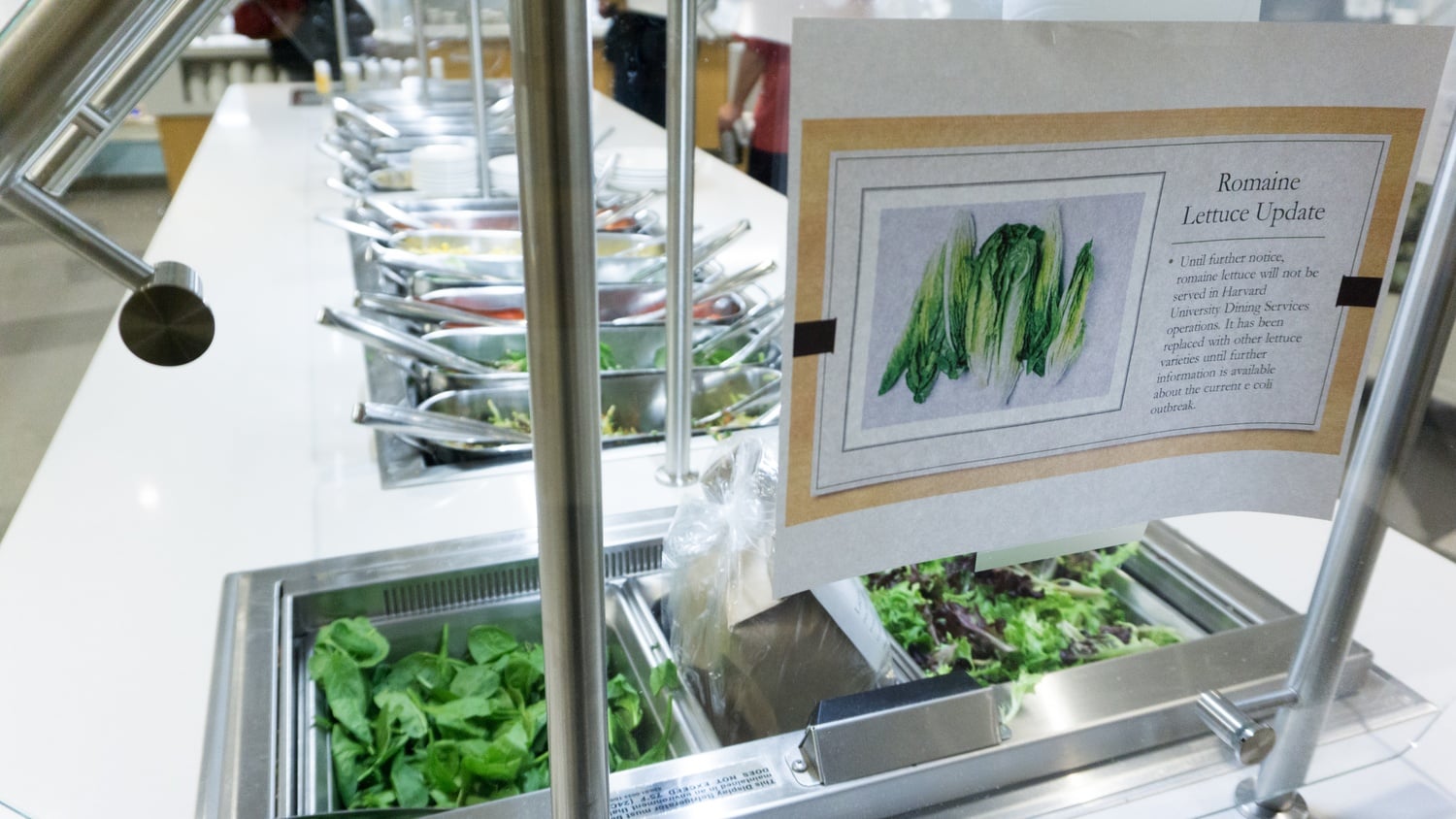 HUDS decides to replace romaine lettuce with other green substitutes after the recent E. coli outbreak.