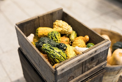 Cover image for Farmer's Market