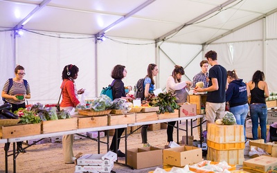 Cover image for Harvard Farmer's Market