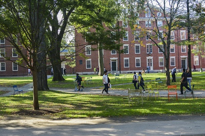 Cover image for Scooters in Harvard Square