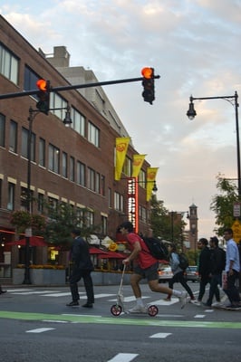 Cover image for Scooters in Harvard Square