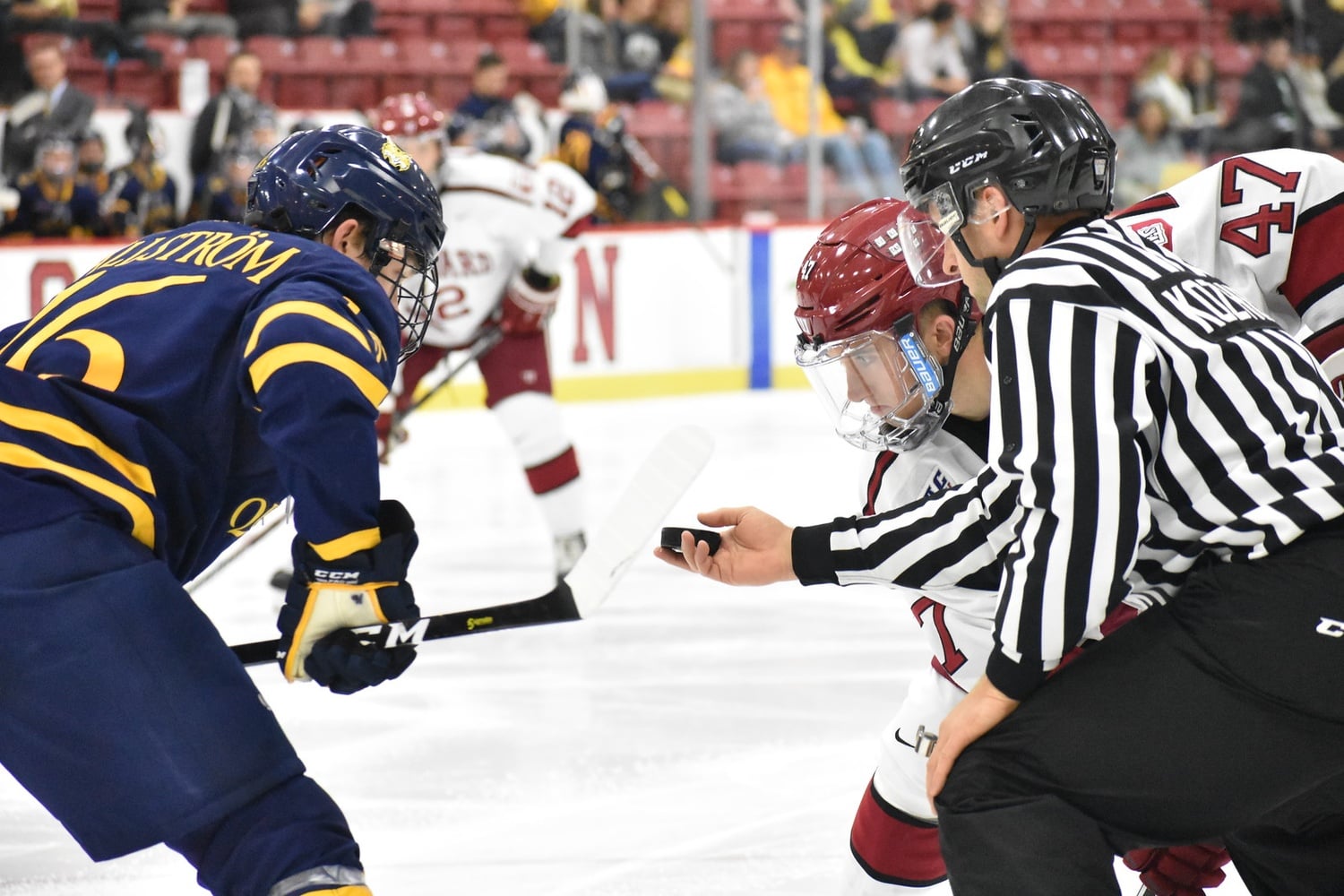 After the Bobcats skated past the Crimson in early November, Harvard outlasted a highly ranked Quinnipiac team on the back of sturdy goaltending.