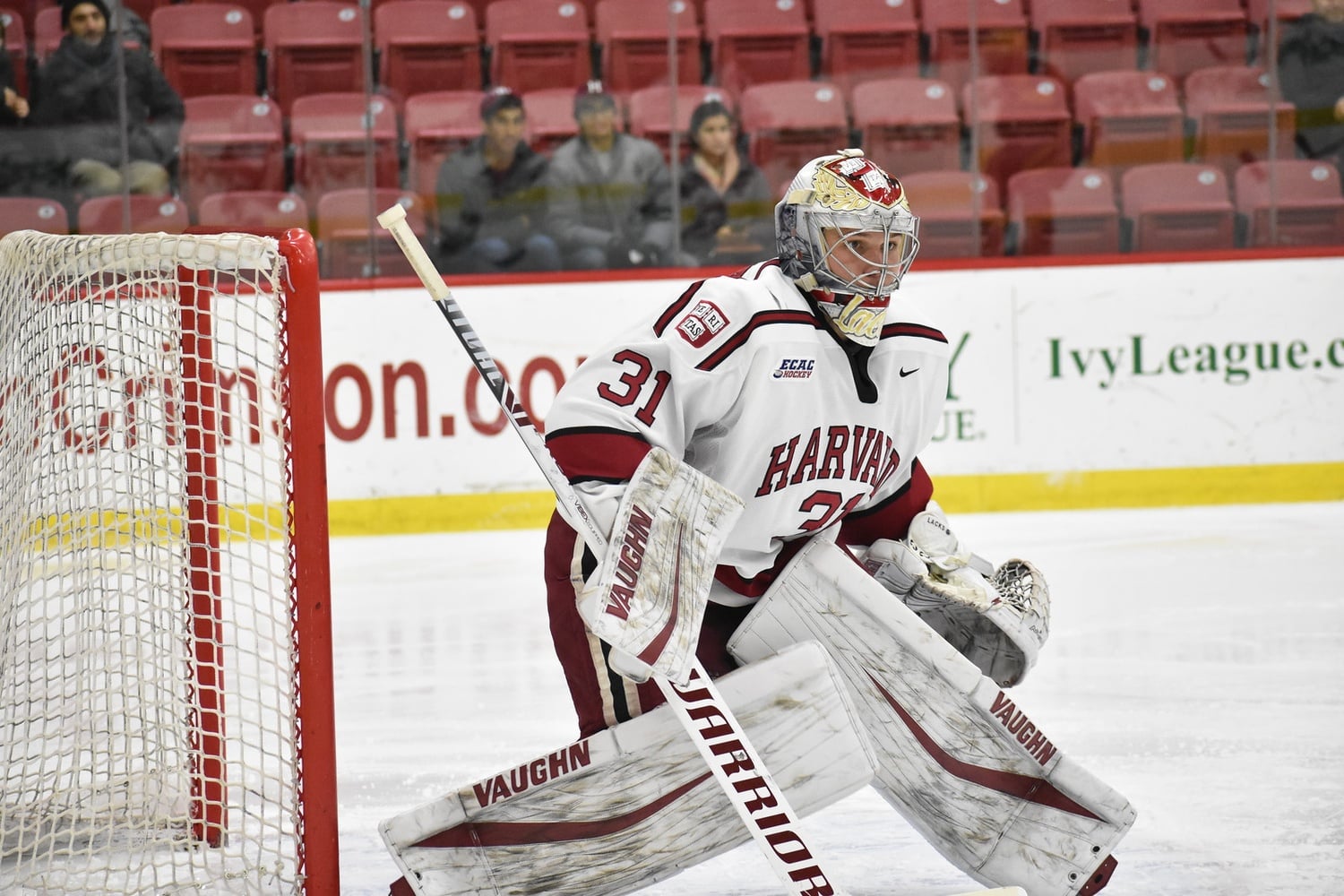 Harvard net-minder Michael Lackey has run away with the starting job after a few lackluster early-season performances, posting very sturdy numbers in his last 13 games.