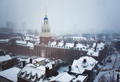 Cover image for Lowell in the Snow