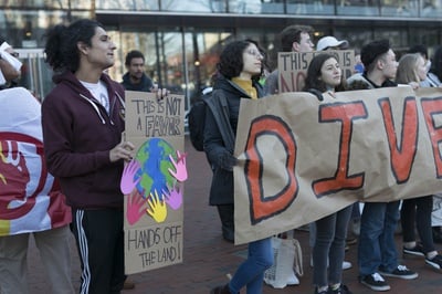 Cover image for The Rebirth of Harvard's Divestment Movement