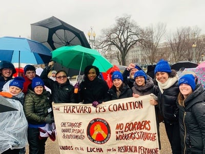 Cover image for Harvard Workers and Students March for TPS in Washington, D.C.