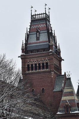Cover image for Snowy Annenberg