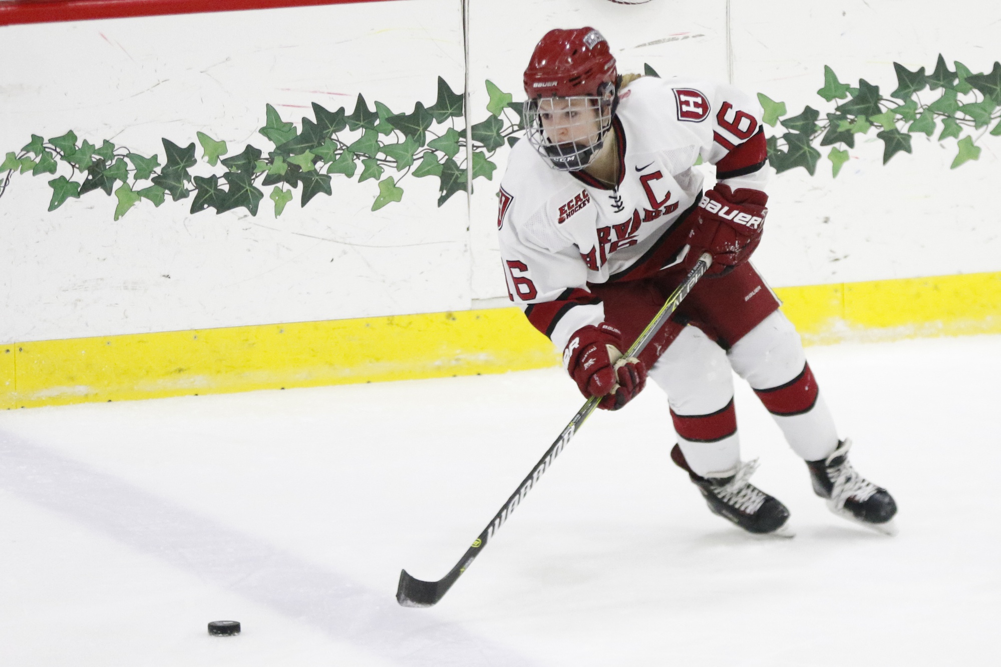 The Crimson will travel to upstate New York this weekend to face Colgate in the ECAC playoffs.