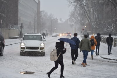 Cover image for More Snow!