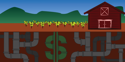 Cover image for After Local Outcry, a Harvard-Owned Vineyard Project Faces Environmental Review