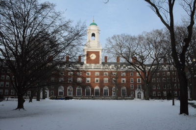 Cover image for Eliot Courtyard 2019