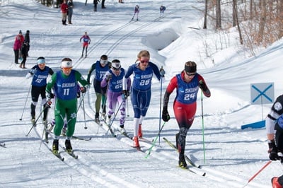 Cover image for Ski This Way