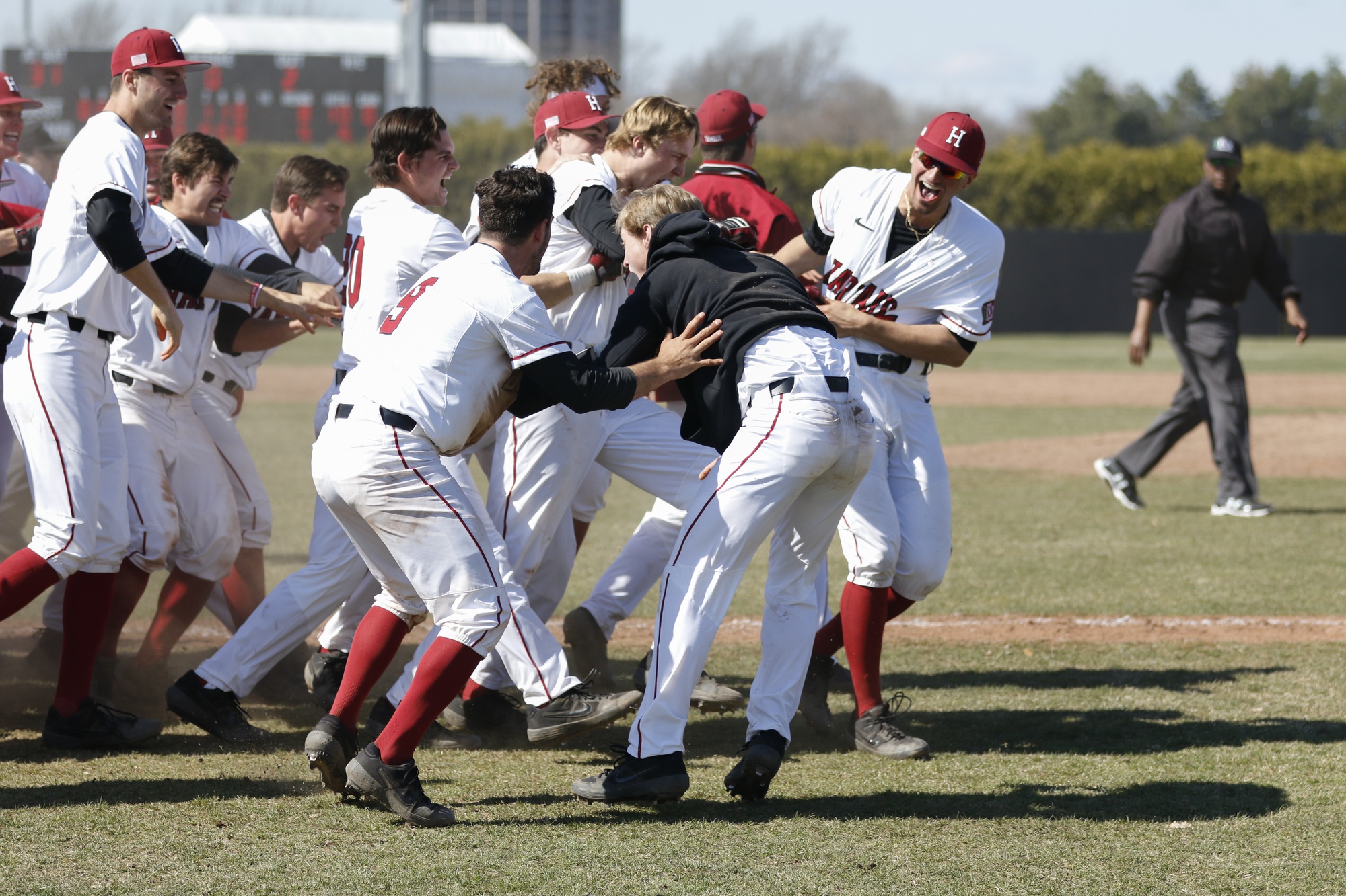 The team embraces McColl after the miraculous finish to the ballgame. Harvard would go on to win the second game of the doubleheader, but fell on Sunday in its sweep bid.