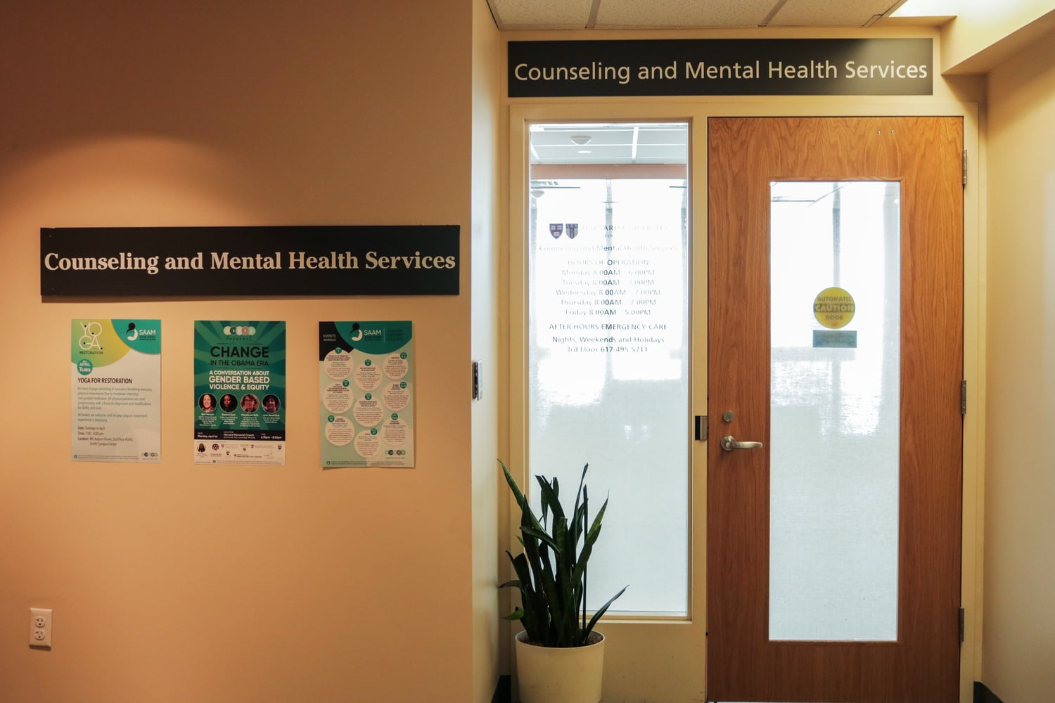 Harvard Council and Mental Health Services will offer students up to twelve telehealth counseling sessions per academic year, the office announced Wednesday.