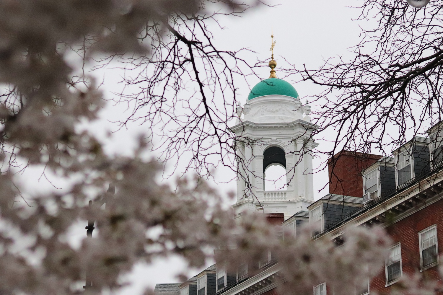 Eliot House Faculty Deans Douglas A. Melton and Gail A. O'Keefe will step down at the end of the spring semester after a decade of helming the House, they announced in an email to House affiliates last week.