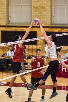 Cover image for Full Circle: Hawaiian Freshmen Reunite at Harvard