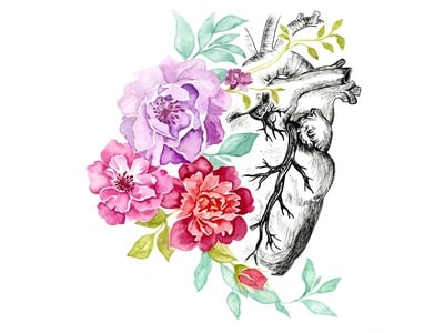 Cover image for Vesalius to Van Gogh: Medicine’s Niche in Art and Vice Versa