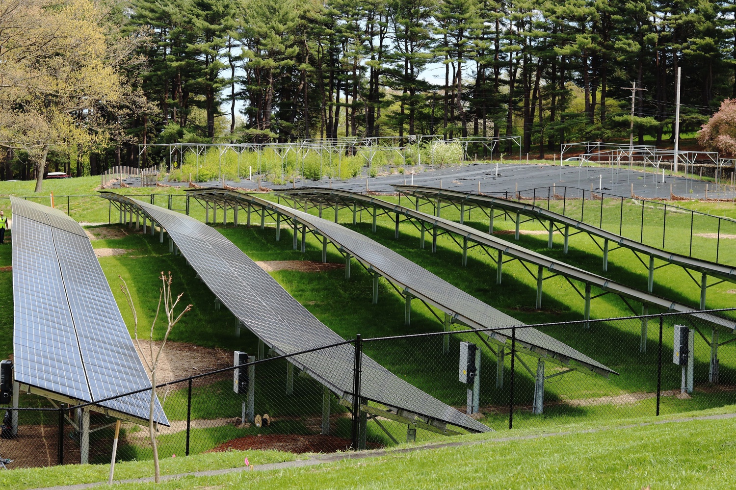 Solar panels in the Arnold Arboretum help provide energy to Harvard's microgrid.