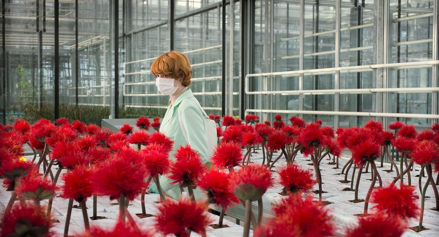 Emily Beecham stars in "Little Joe."