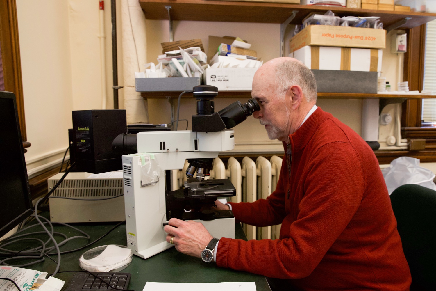 Pfister poses looking through a microscope. Pfister's research has focused on the molecular and morphological history of fungi.