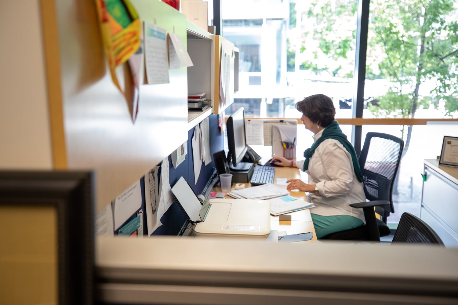 HSBA Executive Director Denise Jillson works in her office.