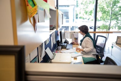 Cover image for Denise Jillson Maps Harvard Square’s Future
