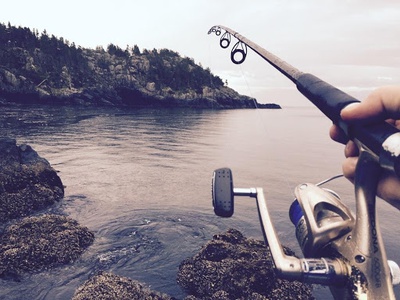 Cover image for Score at the Top Fishing