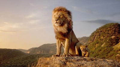 Cover image for 'Lion King' still