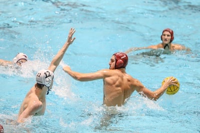 Cover image for No. 12 Men’s Water Polo Stays Undefeated at Bucknell Invite