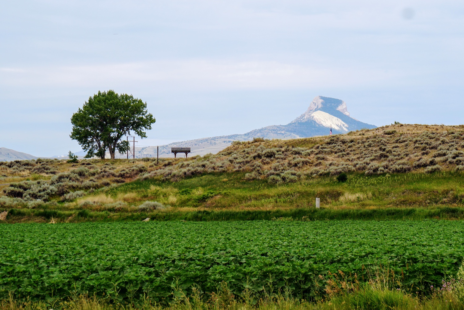 Heart Mountain, Wyoming, where more than 10,000 Japanese-Americans were interned during World War II, including FM writer Andrew W.D. Aoyama's grandmother.