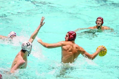 Cover image for No. 12 Men’s Water Polo Sets Win-Streak Record