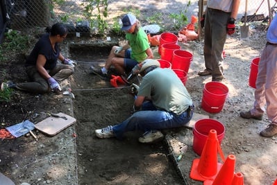 Cover image for Digging Chinatown