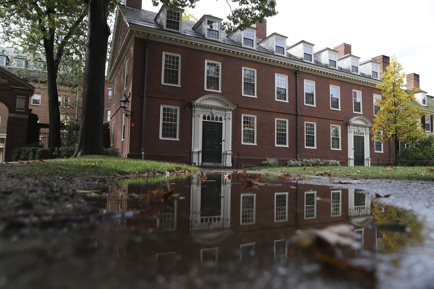Harvard and Stanford students launched a hope-themed education challenge in response to the coronavirus pandemic.