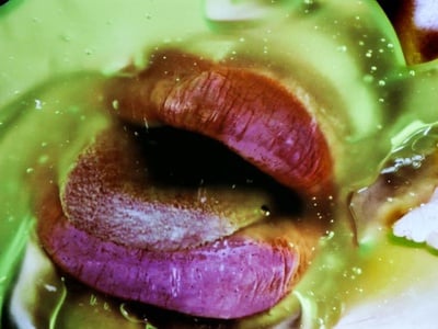 Cover image for Read My Lips