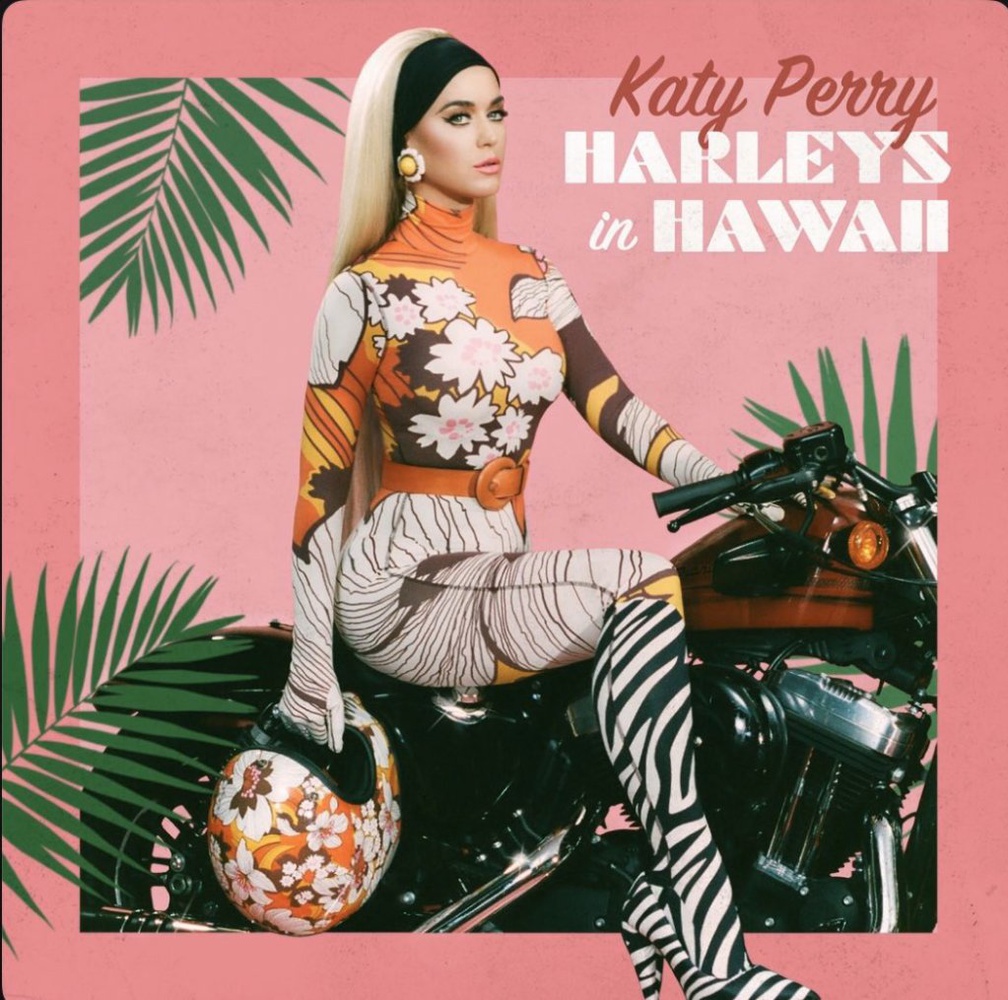 Cover art for "Harleys in Hawaii."