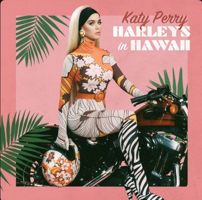 Cover image for Harleys in Hawaii