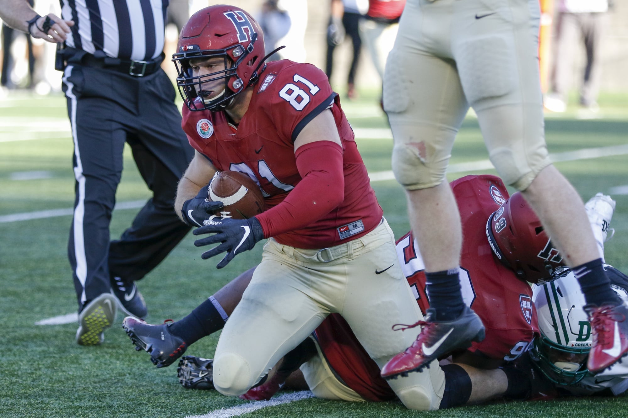 Senior defensive lineman Brogan McPartland recovers a fumble against Dartmouth last Saturday.