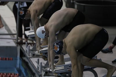 Cover image for Swimming & Diving Set Records in Victories Over Cornell, Dartmouth