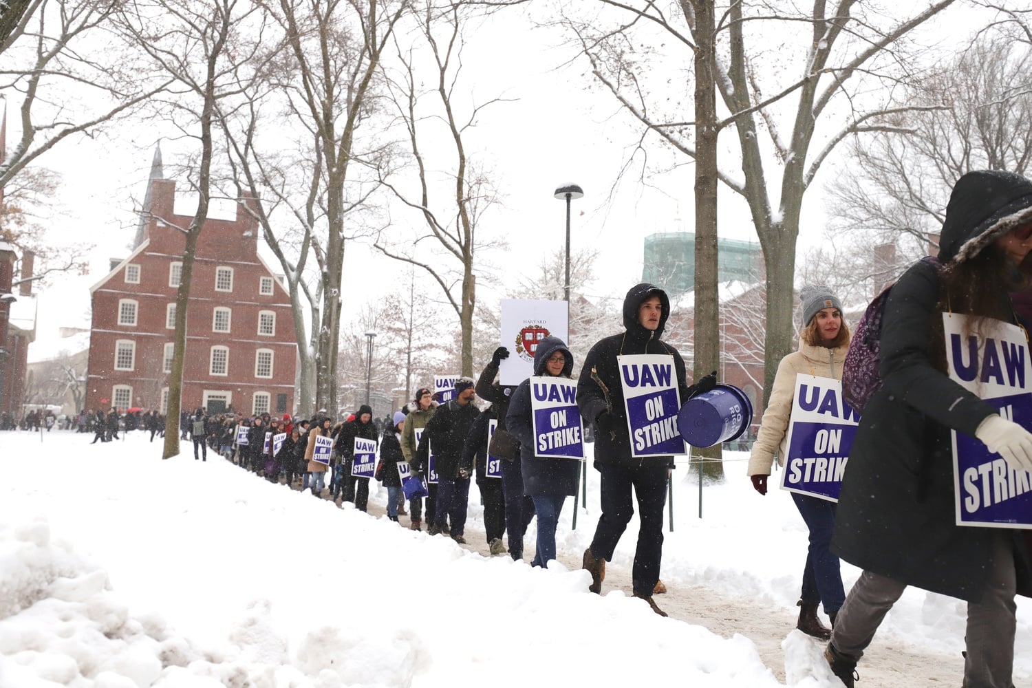 Members of Harvard Graduate Students Union-United Automobile Workers walk the picket line during the union's weeks-long strike.