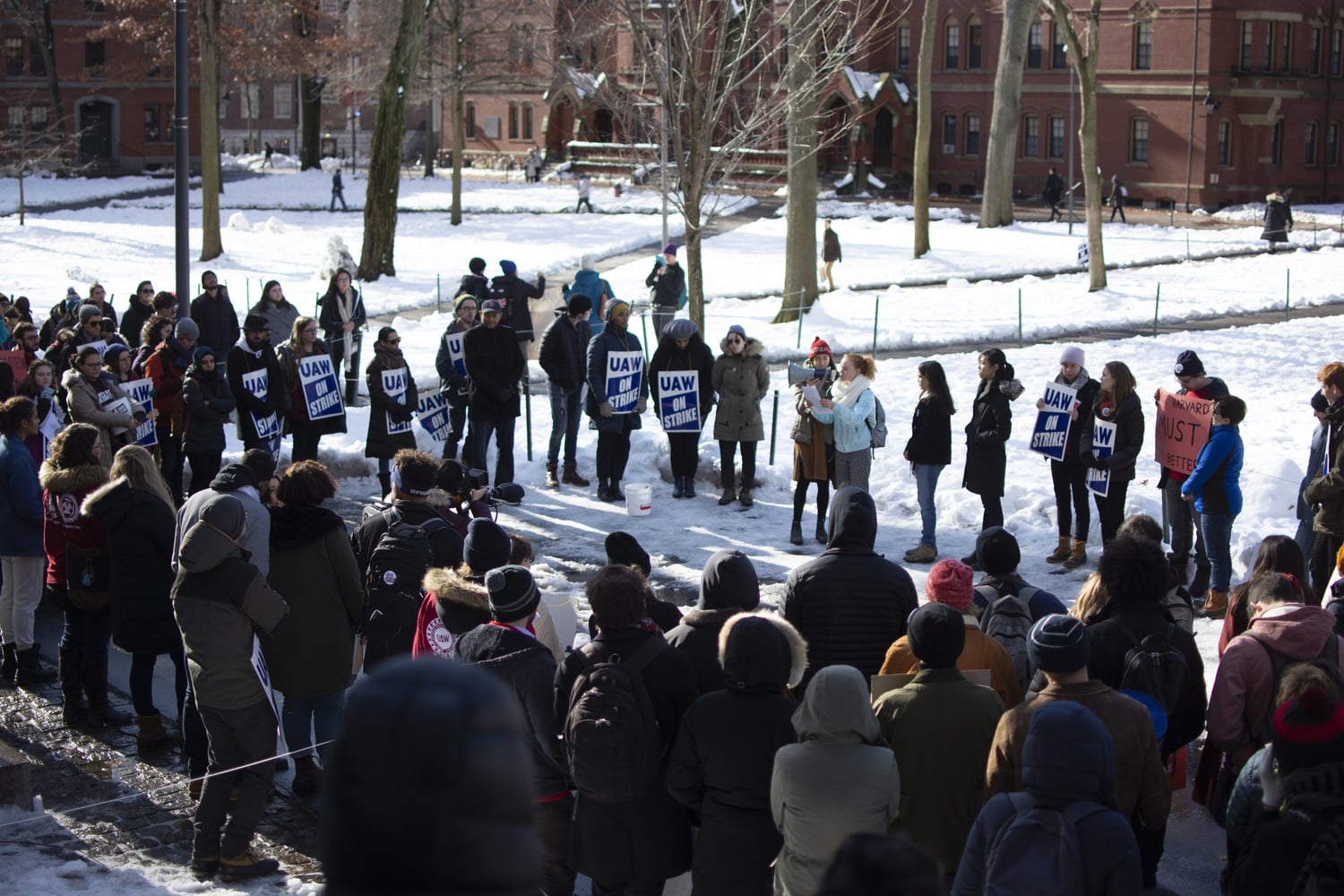 Protesters clustered in Harvard Yard midday as snow from a weekend storm turned to slush.