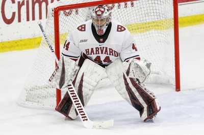 Cover image for No. 12/9 Men's Hockey Drops Overtime Bout to Colgate