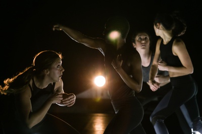 Cover image for Kim Holman's RING
