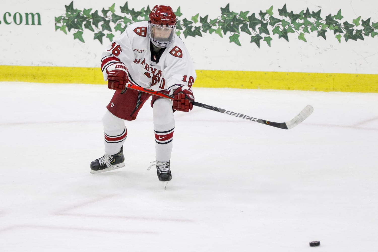 Abruzzese leads all rookies in points per game played (1.25).