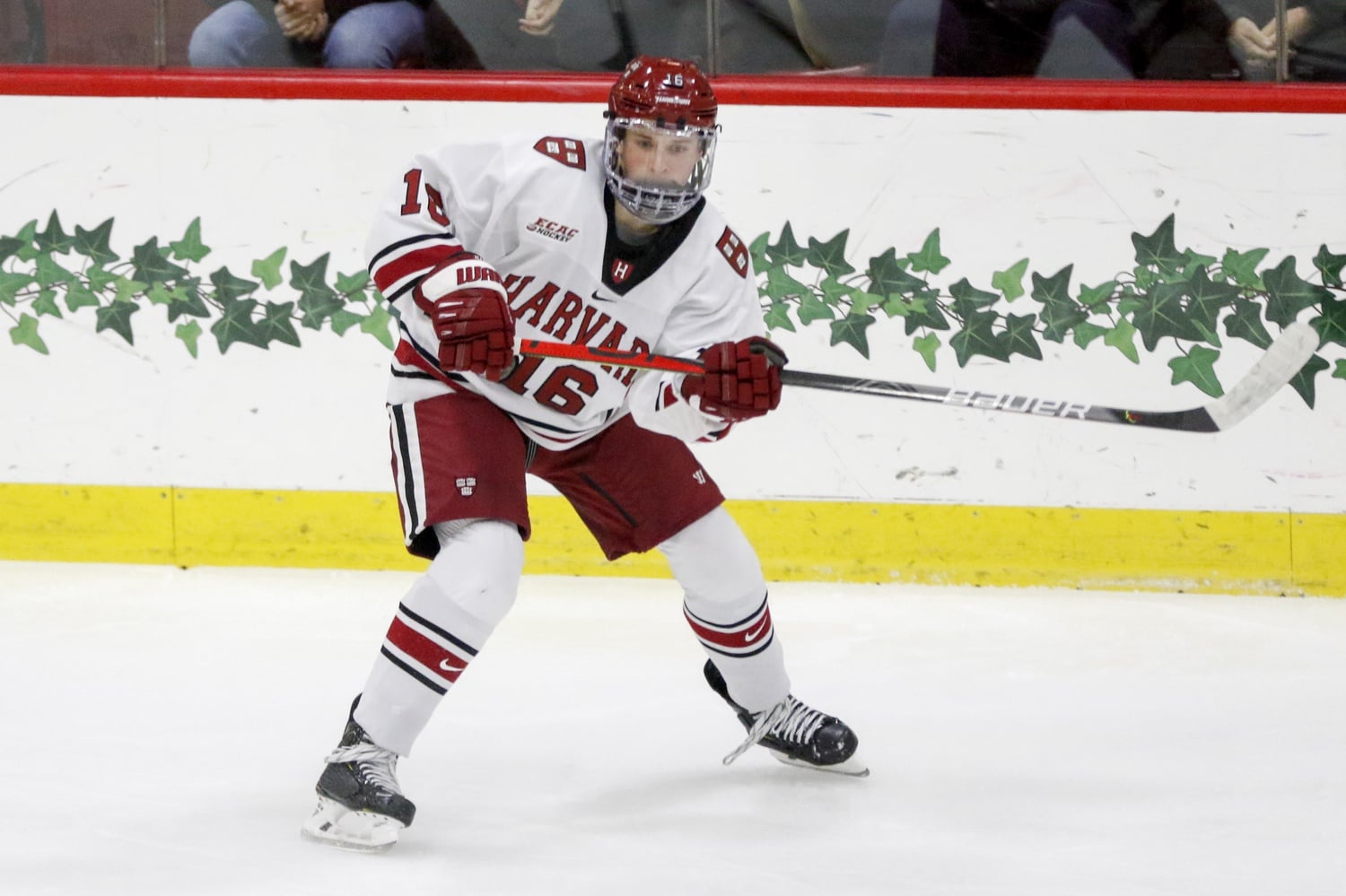 Rookie forward Nick Abruzzese leads all freshmen in the country in points per game (1.24).