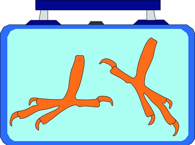 Cover image for Chicken Feet